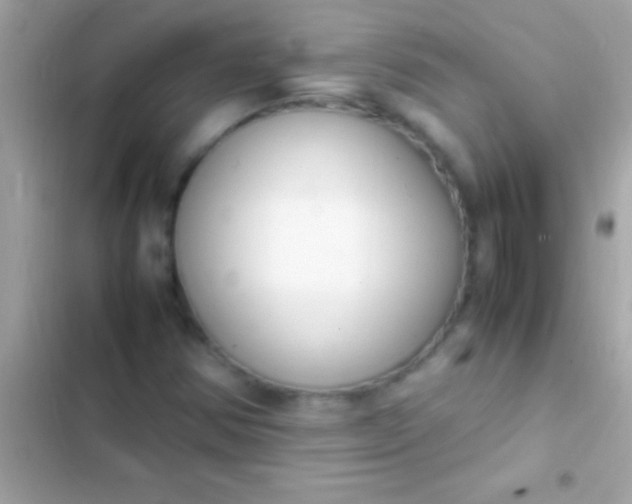 X0000103331354200809192154