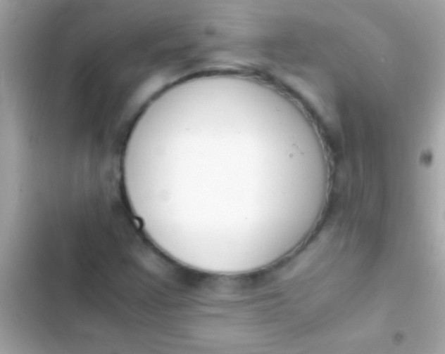 X0000103331355200809192154