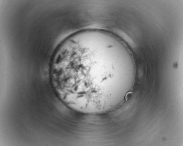 X0000103331356200809192154