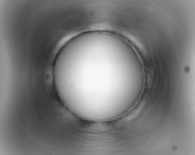 X0000103331358200809192154