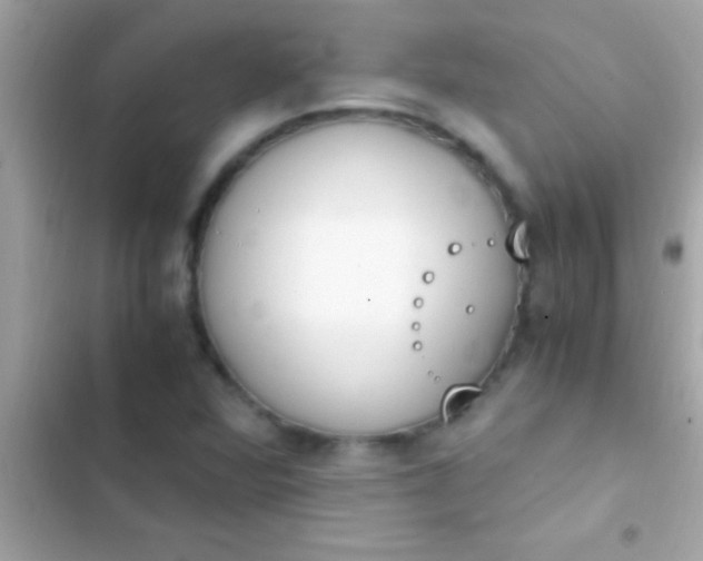 X0000103331360200809192154