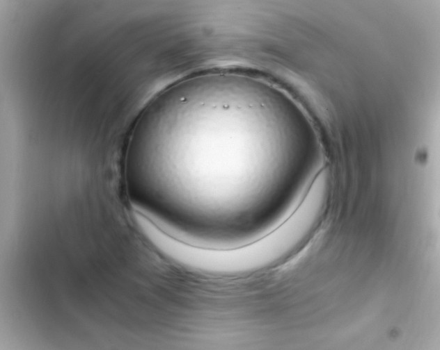 X0000103331361200809192154