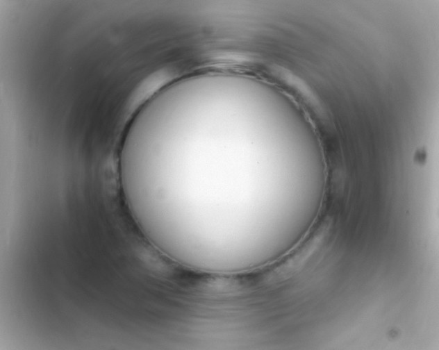 X0000103331362200809192154