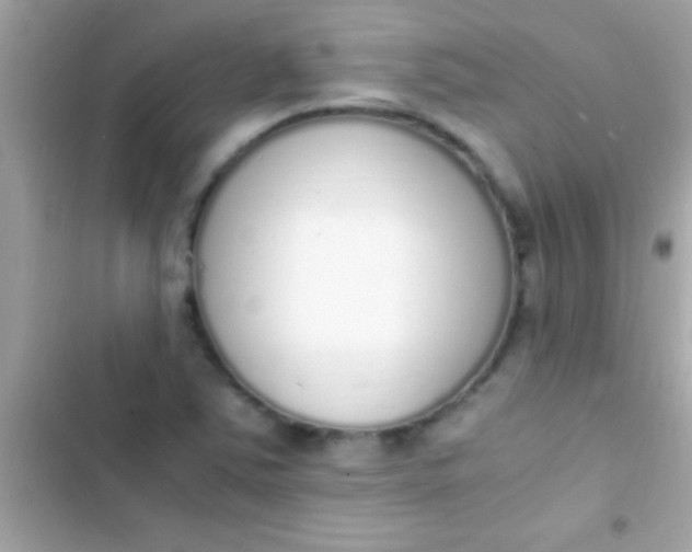 X0000103331363200809192154