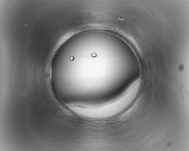 X0000103331365200809192154