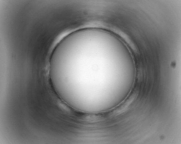 X0000103331366200809192154