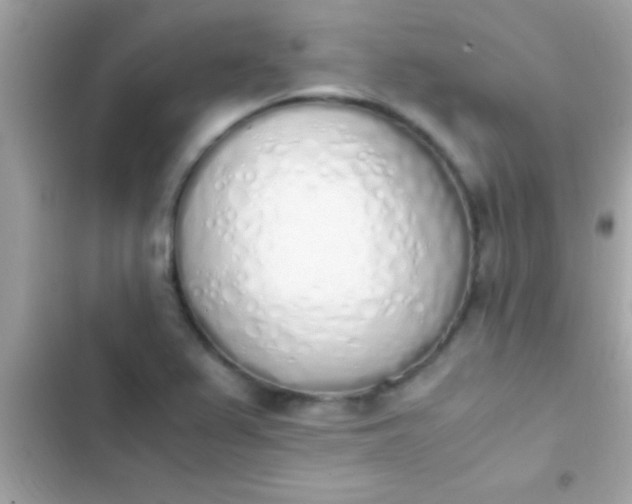 X0000103331367200809192154