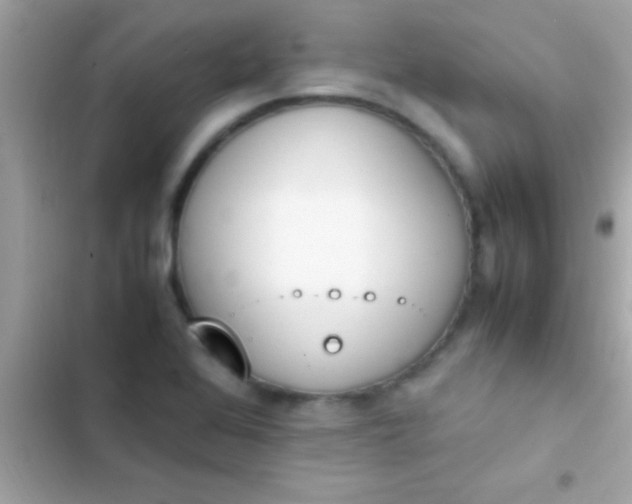 X0000103331368200809192154