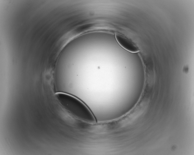 X0000103331369200809192154