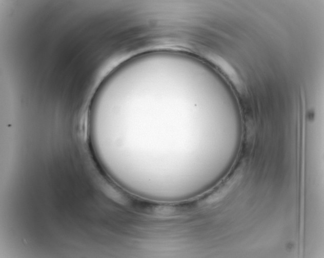 X0000103331371200809192154