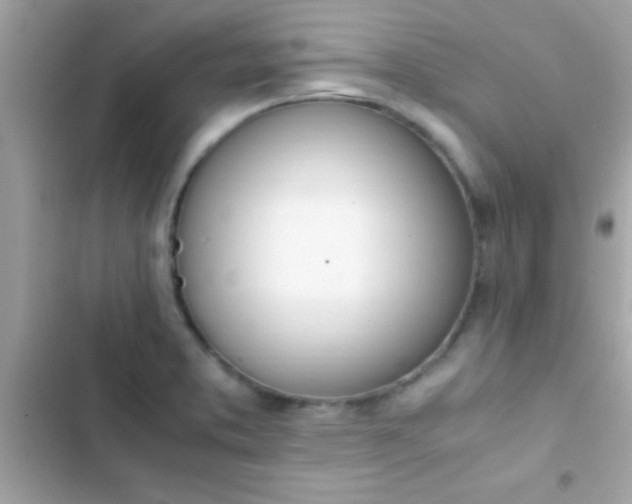 X0000103331373200809192154