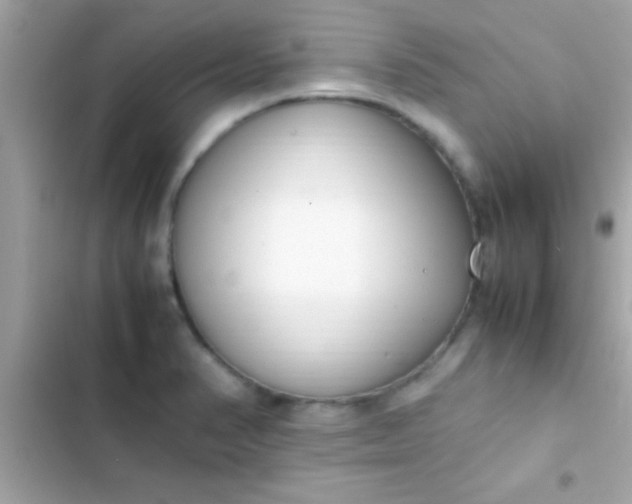 X0000103331374200809192154