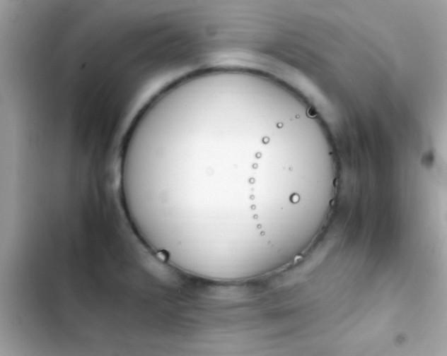 X0000103331376200809192154