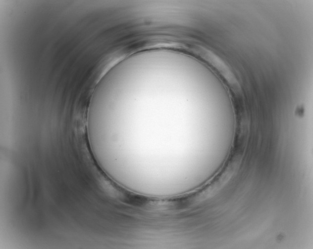 X0000103331377200809192154