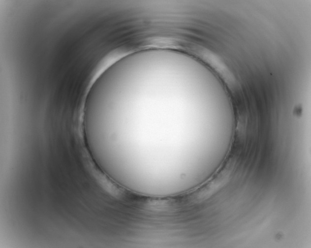 X0000103331378200809192154