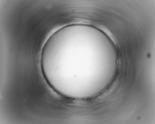 X0000103331379200809192154