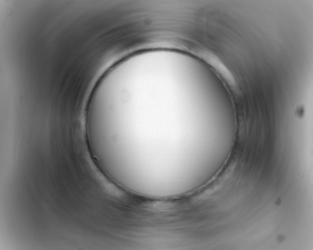 X0000103331380200809192154