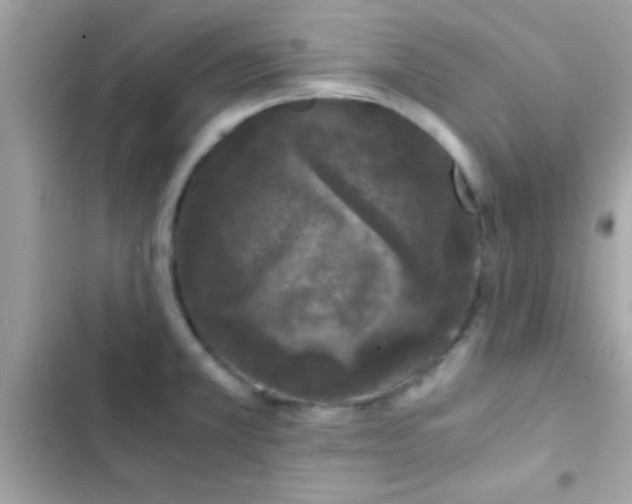 X0000103331381200809192154