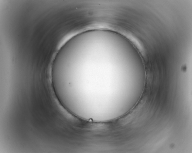 X0000103331382200809192154