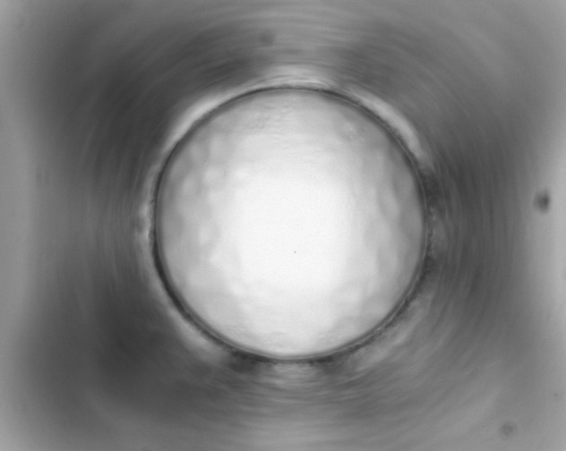 X0000103331383200809192154