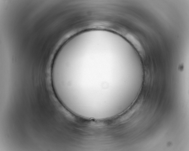 X0000103331384200809192154