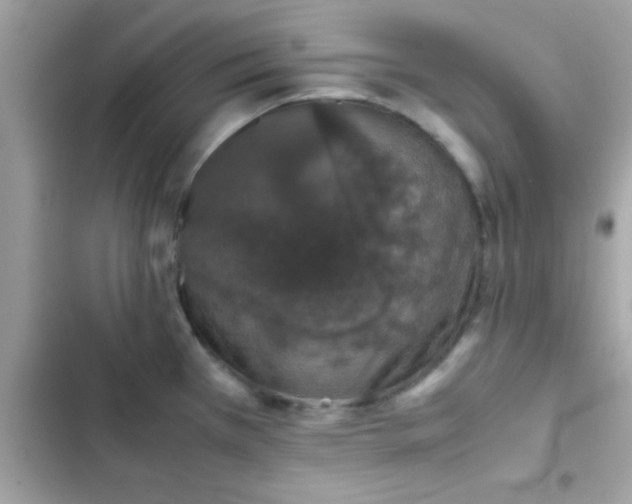 X0000103331385200809192154