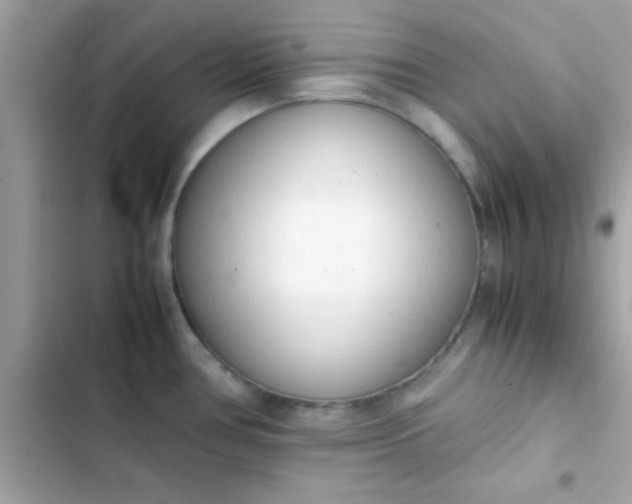 X0000103331386200809192154