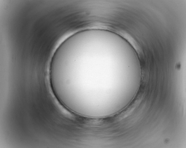 X0000103331387200809192154