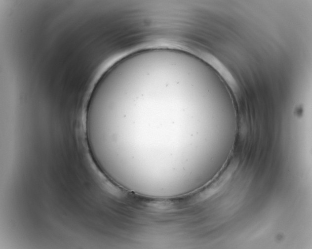 X0000103331388200809192154