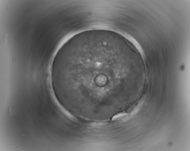 X0000103331389200809192154