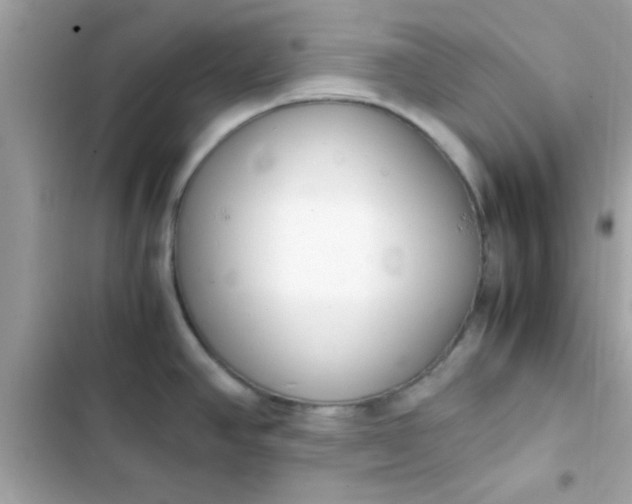 X0000103331390200809192154