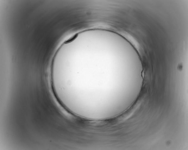 X0000103331391200809192154