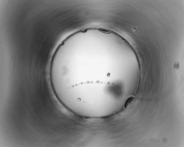 X0000103331392200809192154