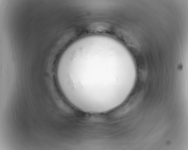 X0000103331393200809192153