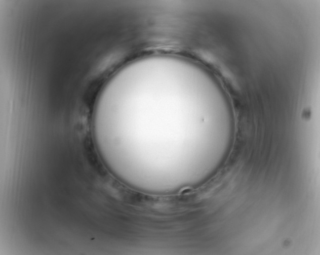 X0000103331399200809192153