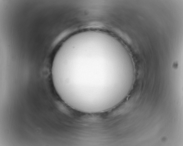 X0000103331400200809192153