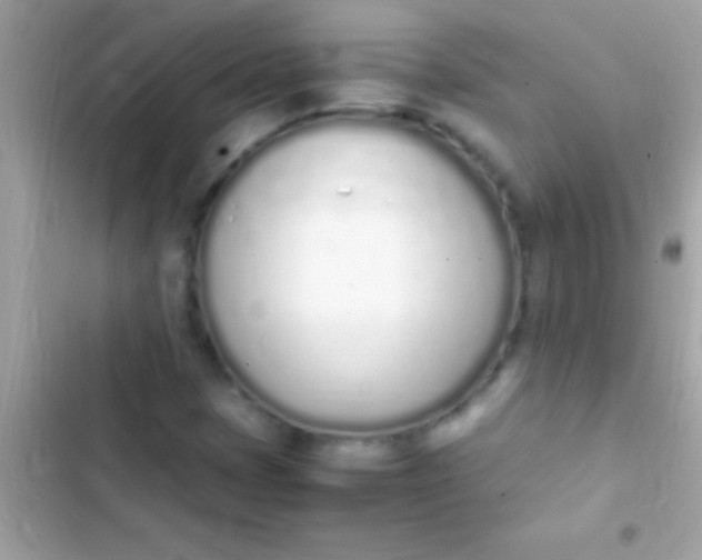 X0000103331401200809192153