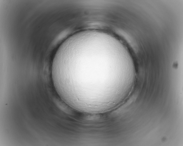 X0000103331403200809192153