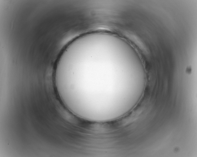 X0000103331404200809192153