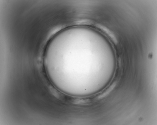 X0000103331405200809192153