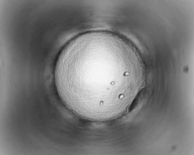 X0000103331407200809192153