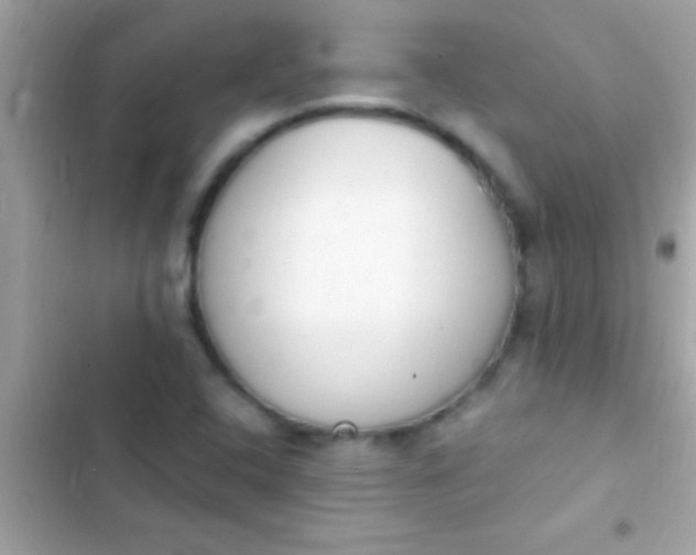 X0000103331408200809192154