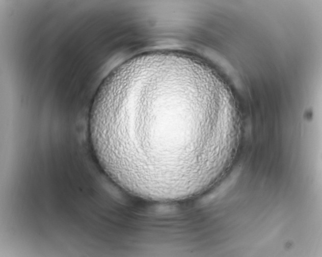 X0000103331409200809192154