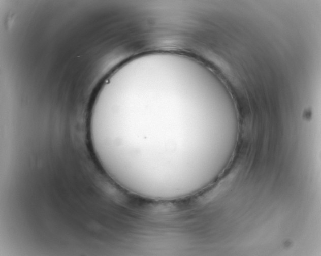 X0000103331410200809192154