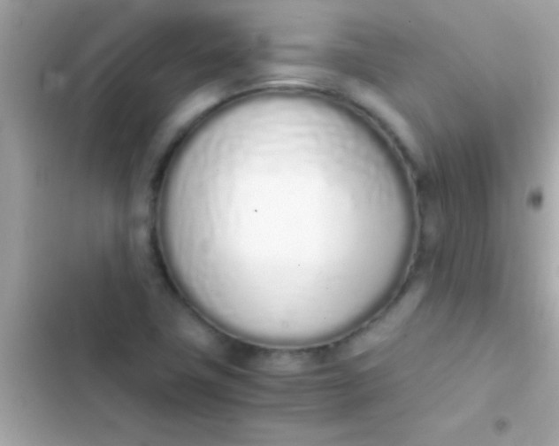 X0000103331411200809192154