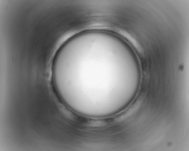 X0000103331413200809192154