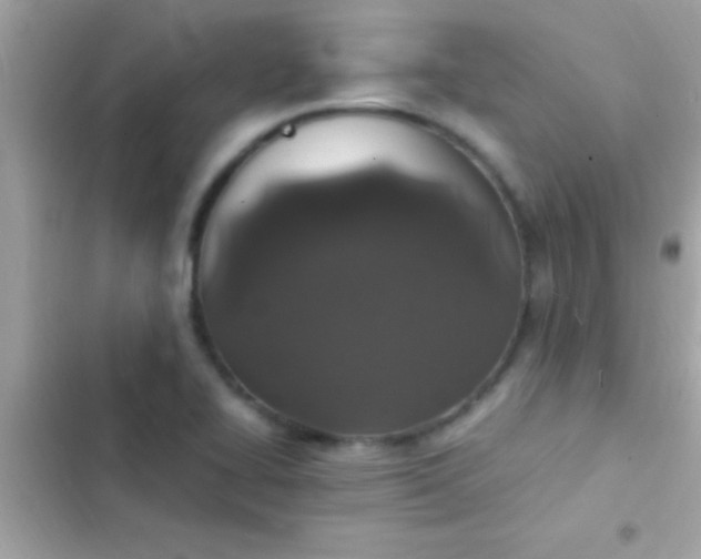 X0000103331414200809192154