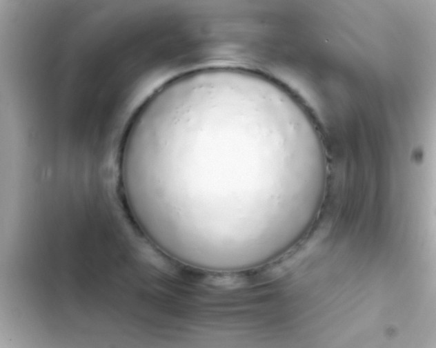 X0000103331415200809192154