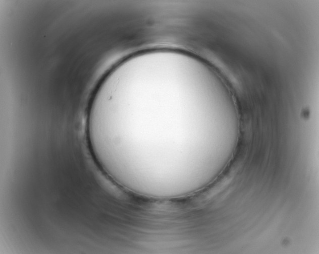 X0000103331416200809192154