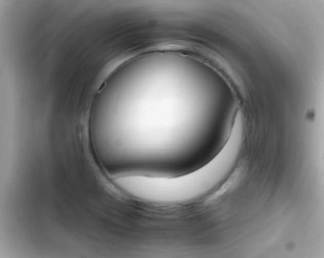 X0000103331417200809192154